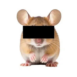 Anonymouse / WETH