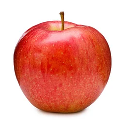 FRUIT