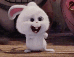 BUNNY