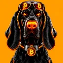 BITHOUND