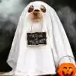 INUWEEN