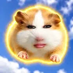KimGgooi