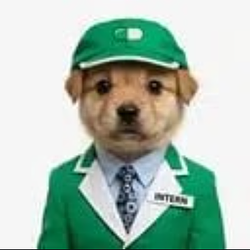 Intern / SOL