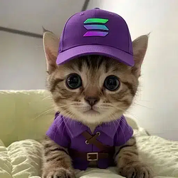 Soly
