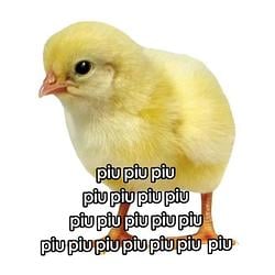 piu / SOL