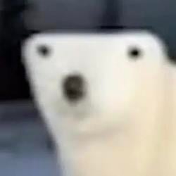 ber
