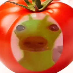 TOMATOINU