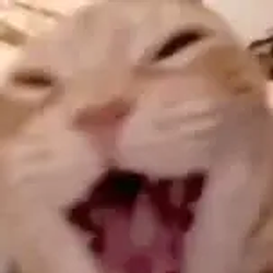 Funcat / SOL