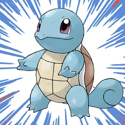 Squirtle / SOL
