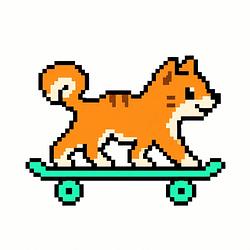 DOGBOARD