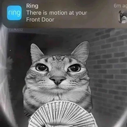 MOTION / SOL