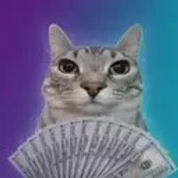ms