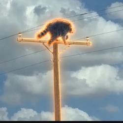 Jimsus / SOL