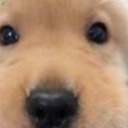 富贵