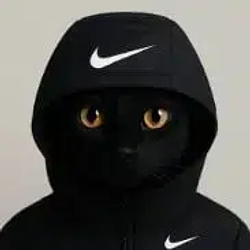 YN