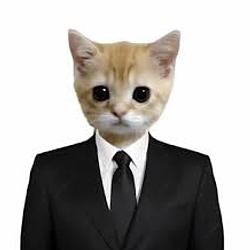 WTFCAT