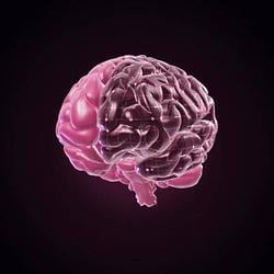 MIND