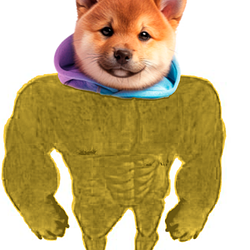 MARS APE