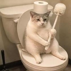 PURRJAN