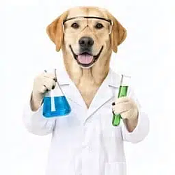 Lab