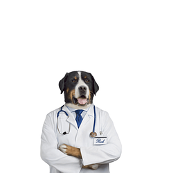 Dogtor