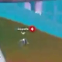 NEVETSNIGGER