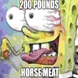Horse Meat