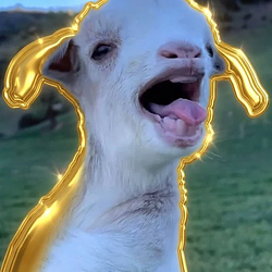 Goaties / SOL