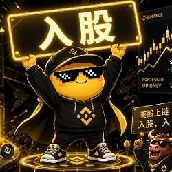 入股 / BNB