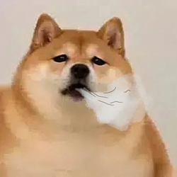 SI