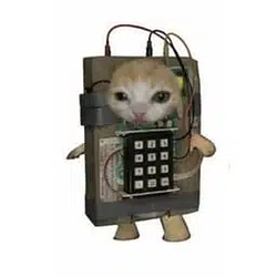c4t