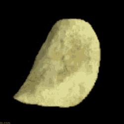POTATO