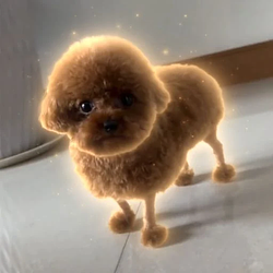 POTATO