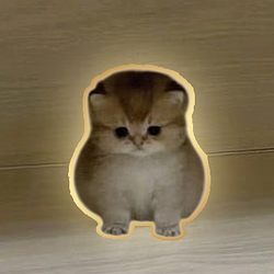 aaa