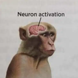 NEURON