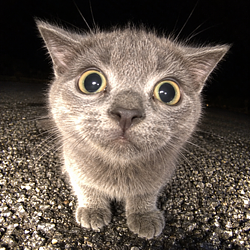 TCAT