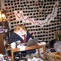 HAM