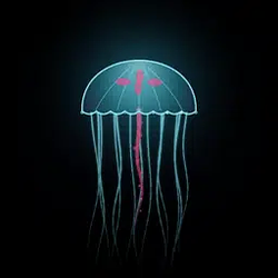 jelly