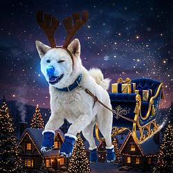 RUSSELL THE BLUE-NOSED BASEDDEER logo