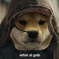 wifan