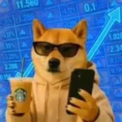 INUFLUENCER