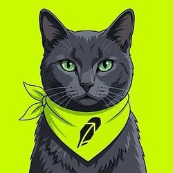 CATNISS / SOL