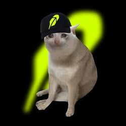 Cash Cats / SOL