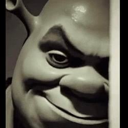 SHREKI / SOL