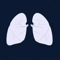 Lungcoin