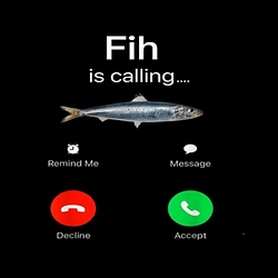 FIH / USDC