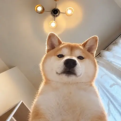 InU