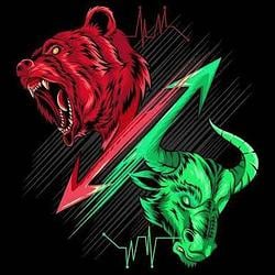 BEAR BULL / SOL