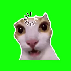 BUFFERCAT