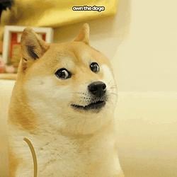DOGE / SOL